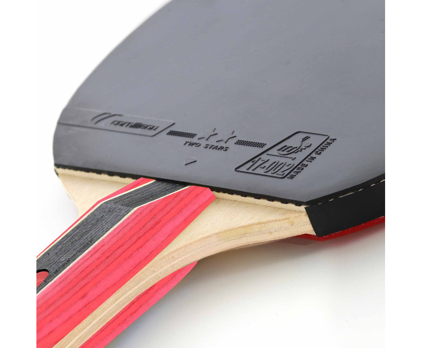 Ракетка для настольного тенниса Cornilleau Sport 300